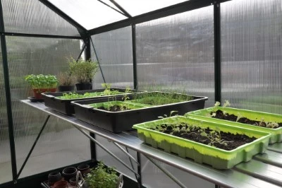 Royal Well Kweektafel Alu Grower 200 X 62,5 Cm 10 Royal Well Kweektafel Alu Grower 200 X 62,5 Cm - Afbeelding 10