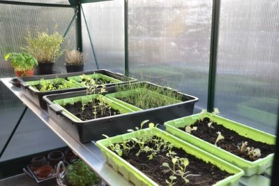 Royal Well Kweektafel Alu Grower 200 X 62,5 Cm 5 Royal Well Kweektafel Alu Grower 200 X 62,5 Cm - Afbeelding 5