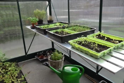 Royal Well Kweektafel Alu Grower 200 X 62,5 Cm 6 Royal Well Kweektafel Alu Grower 200 X 62,5 Cm - Afbeelding 6