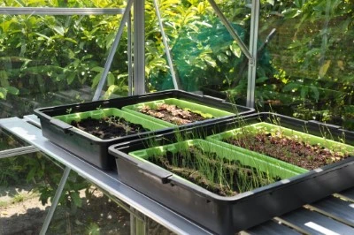 Royal Well Kweektafel Alu Grower 250 X 62,5 Cm 11 Royal Well Kweektafel Alu Grower 250 X 62,5 Cm - Afbeelding 11