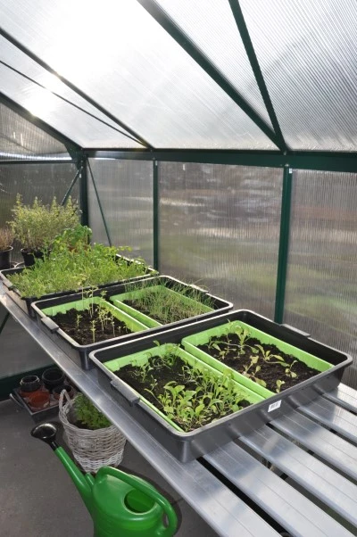 Royal Well Kweektafel Alu Grower 250 X 62,5 Cm 1 Royal Well Kweektafel Alu Grower 250 X 62,5 Cm