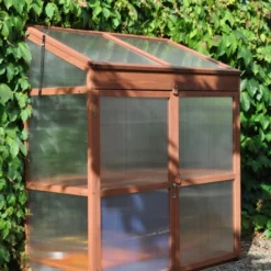 Royal Well Patiokas Sweet Basil 20 Royal Well Patiokas Sweet Basil -Bijzondere Tuin Verkoop 8719214380120 10 Aangepast