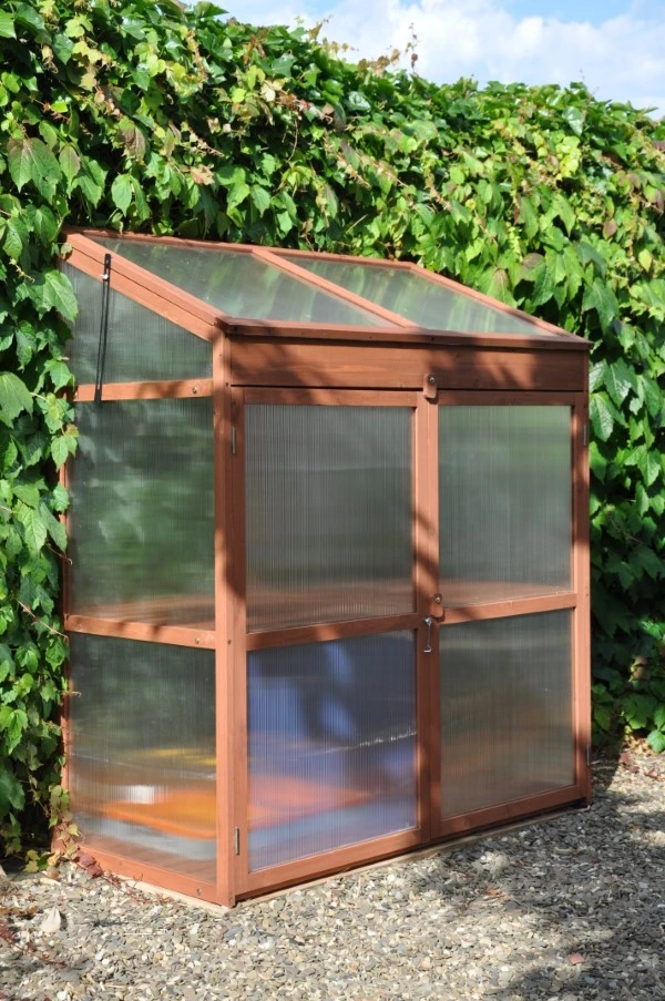 Royal Well Patiokas Sweet Basil 10 Royal Well Patiokas Sweet Basil - Afbeelding 10