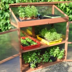 Royal Well Patiokas Sweet Basil 21 Royal Well Patiokas Sweet Basil -Bijzondere Tuin Verkoop 8719214380120 11 Aangepast