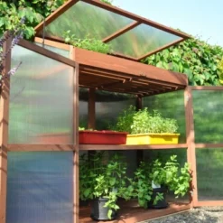 Royal Well Patiokas Sweet Basil 13 Royal Well Patiokas Sweet Basil -Bijzondere Tuin Verkoop 8719214380120 3 Aangepast