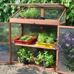 Royal Well Patiokas Sweet Basil 14 Royal Well Patiokas Sweet Basil -Bijzondere Tuin Verkoop 8719214380120 4 Aangepast