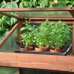 Royal Well Patiokas Sweet Basil 15 Royal Well Patiokas Sweet Basil -Bijzondere Tuin Verkoop 8719214380120 5 Aangepast