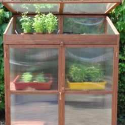 Royal Well Patiokas Sweet Basil 16 Royal Well Patiokas Sweet Basil -Bijzondere Tuin Verkoop 8719214380120 6 Aangepast