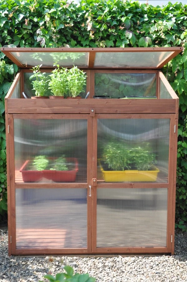 Royal Well Patiokas Sweet Basil 6 Royal Well Patiokas Sweet Basil - Afbeelding 6