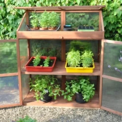 Royal Well Patiokas Sweet Basil 17 Royal Well Patiokas Sweet Basil -Bijzondere Tuin Verkoop 8719214380120 7 Aangepast