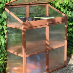 Royal Well Patiokas Sweet Basil 18 Royal Well Patiokas Sweet Basil -Bijzondere Tuin Verkoop 8719214380120 8 Aangepast