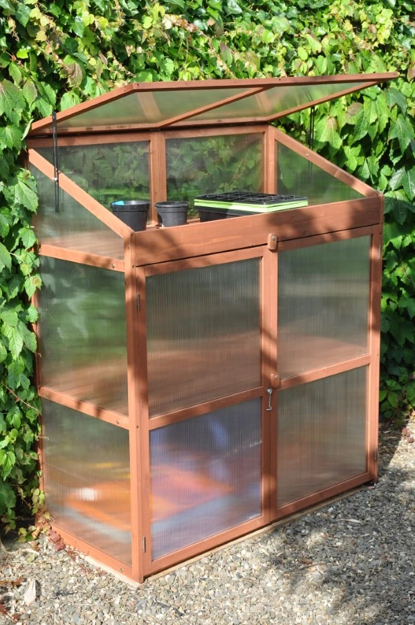 Royal Well Patiokas Sweet Basil 8 Royal Well Patiokas Sweet Basil - Afbeelding 8