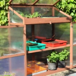 Royal Well Patiokas Sweet Basil 19 Royal Well Patiokas Sweet Basil -Bijzondere Tuin Verkoop 8719214380120 9 Aangepast