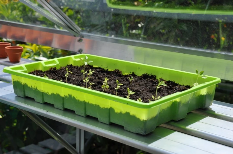 Royal Well Kweekschap Allu Shower 250 X 32,5 Cm 3 Royal Well Kweekschap Allu Shower 250 X 32,5 Cm - Afbeelding 3