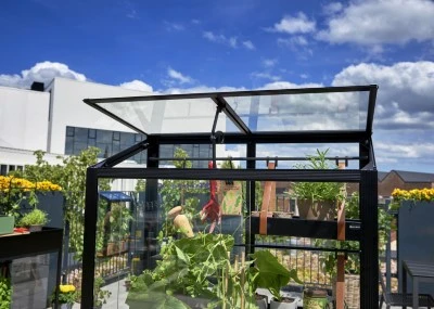 Royal Well Patiokas City Garden Veiligheidsglas 4mm Zwart 11 Royal Well Patiokas City Garden Veiligheidsglas 4mm Zwart - Afbeelding 11