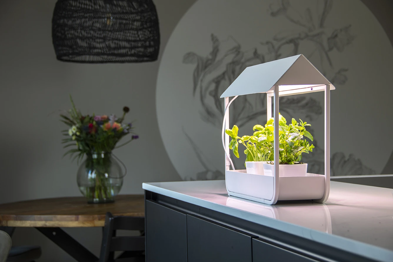 Esschert Witte Groeilamp Kweekkas 2 Esschert Witte Groeilamp Kweekkas - Afbeelding 2