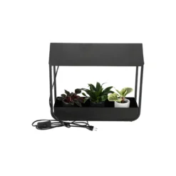 Esschert Zwarte - Groeilamp Kweekkas -Bijzondere Tuin Verkoop AGG107 04