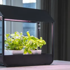 Esschert Zwarte - Groeilamp Kweekkas -Bijzondere Tuin Verkoop AGG107 41