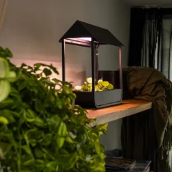 Esschert Zwarte - Groeilamp Kweekkas -Bijzondere Tuin Verkoop AGG107 42