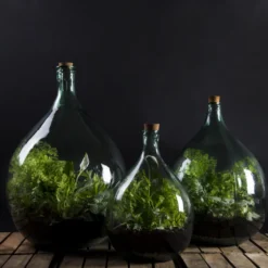 Esschert AGG47 Plant Terrarium 5L | Doe Het Zelf Planten Terrarium 5 Esschert AGG47 Plant Terrarium 5L | Doe Het Zelf Planten Terrarium -Bijzondere Tuin Verkoop AGG47 50 03 scaled