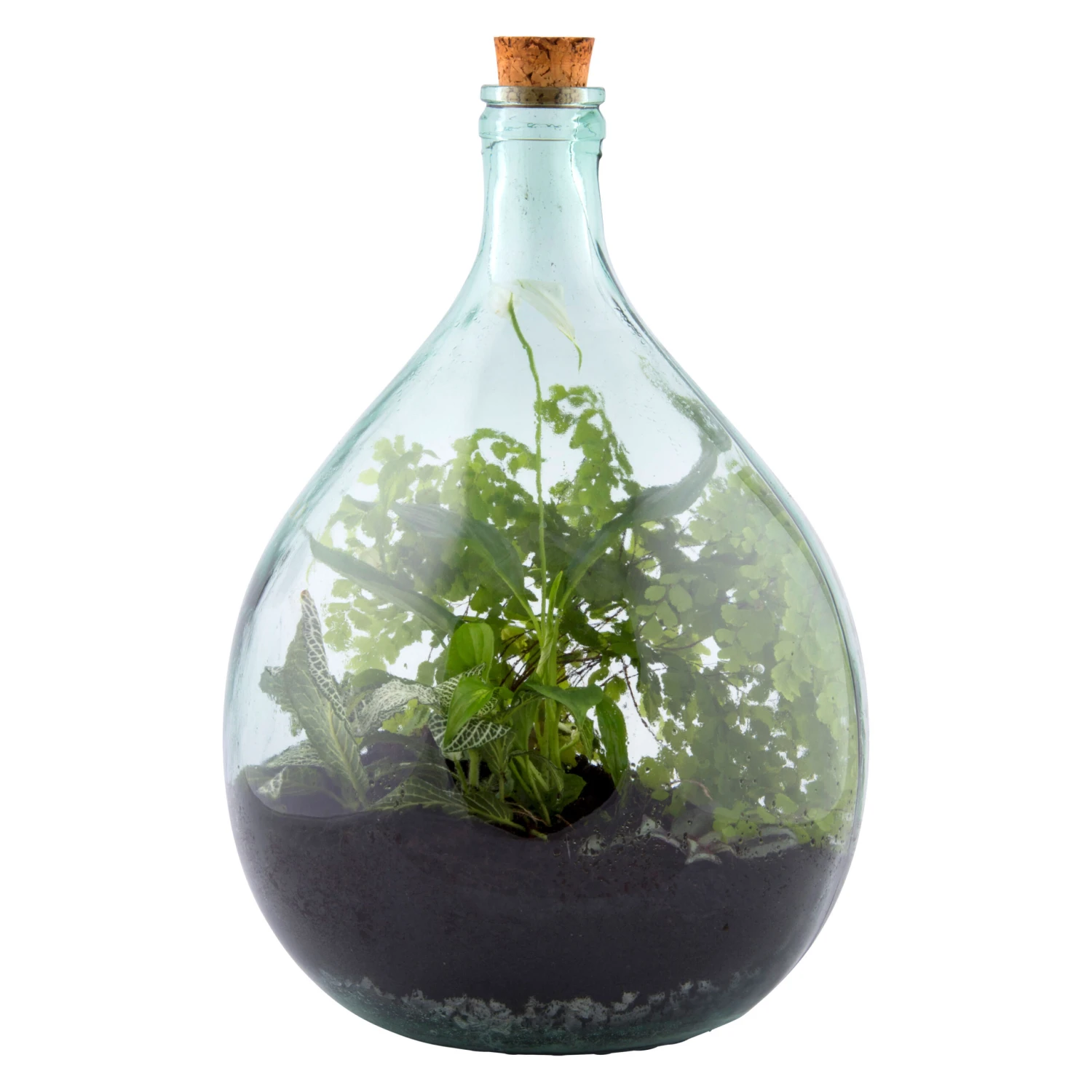 Esschert AGG48 Plant Terrarium 15L | Doe Het Zelf Planten Terrarium 2 Esschert AGG48 Plant Terrarium 15L | Doe Het Zelf Planten Terrarium - Afbeelding 2