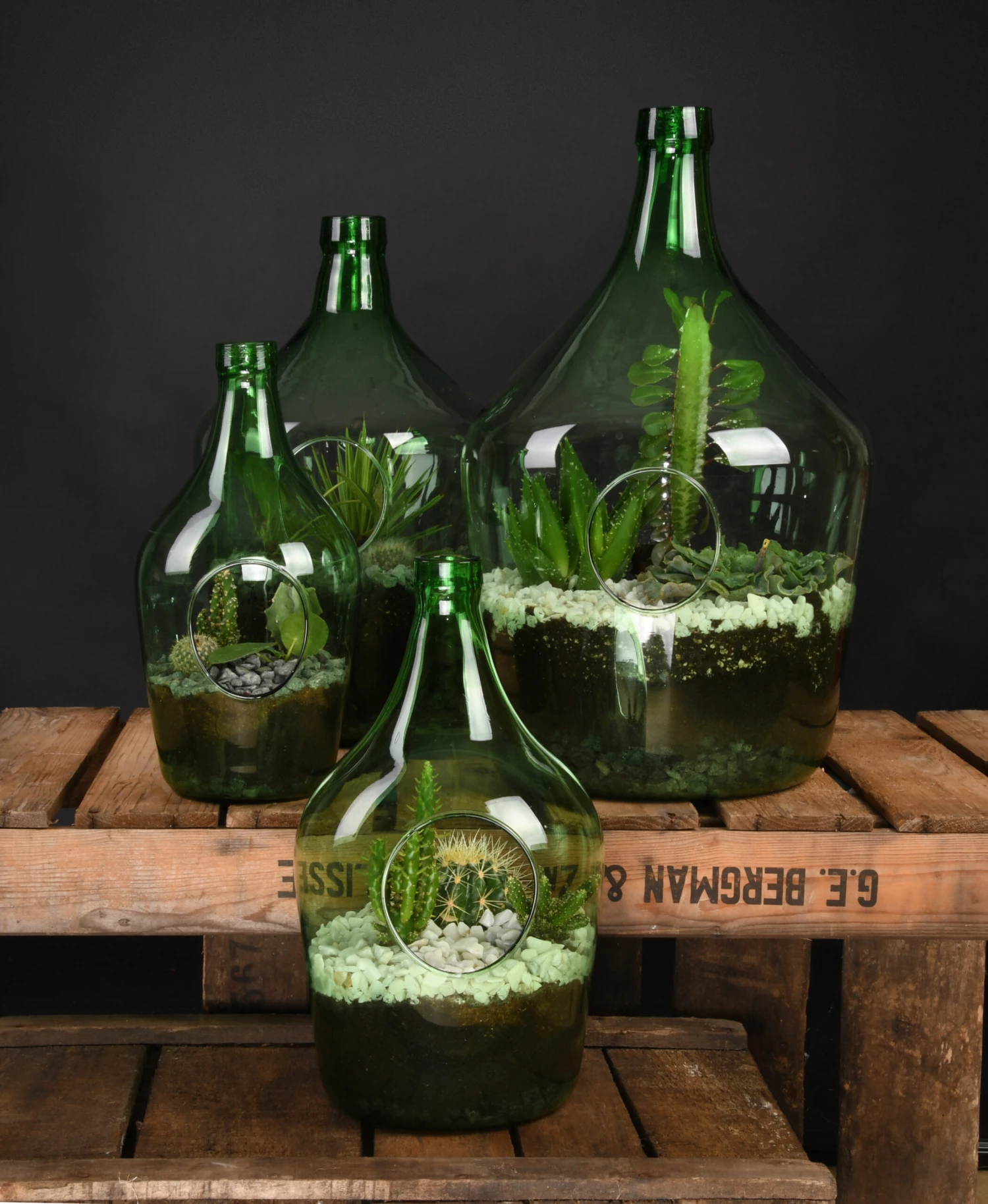 Esschert AGG64 Plant Terrarium 3L | Doe Het Zelf Planten Terrarium Open 4 Esschert AGG64 Plant Terrarium 3L | Doe Het Zelf Planten Terrarium Open - Afbeelding 4