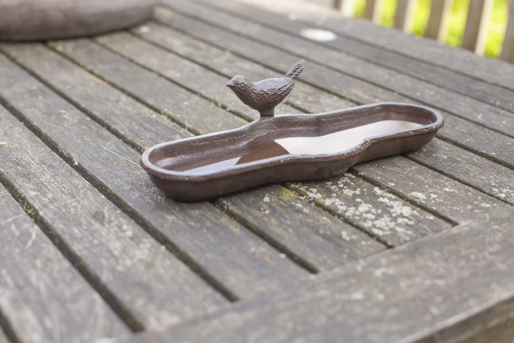 Esschert Vogelbad Vogel In Giftbox 5 Esschert Vogelbad Vogel In Giftbox - Afbeelding 5