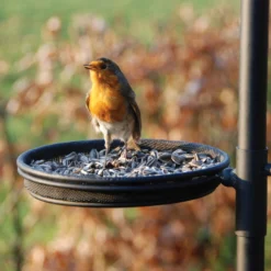 Esschert Vogel Voederstation FB150 7 Esschert Vogel Voederstation FB150 -Bijzondere Tuin Verkoop FB150 Seed Dish scaled