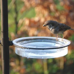 Esschert Vogel Voederstation FB150 6 Esschert Vogel Voederstation FB150 -Bijzondere Tuin Verkoop FB150 Water Dish scaled