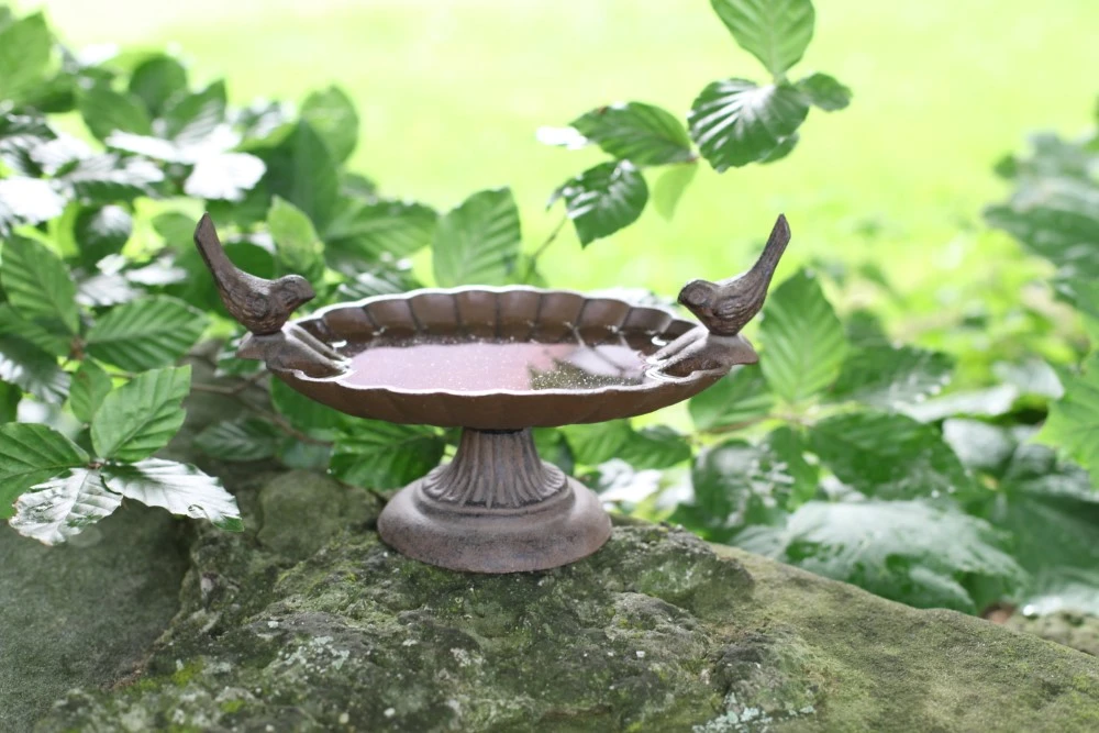 Esschert Vogelbad Op Voet Gietijzer FB162 2 Esschert Vogelbad Op Voet Gietijzer FB162 - Afbeelding 2