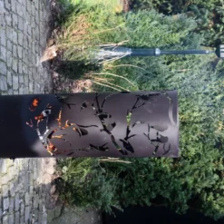 Esschert Vuurton Lasercuts Vogels Op Tak 13 Esschert Vuurton Lasercuts Vogels Op Tak -Bijzondere Tuin Verkoop FF409 42