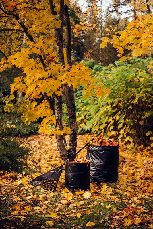 Fiskars Popup Tuin Afvalzak 56 Liter 2 Fiskars Popup Tuin Afvalzak 56 Liter - Afbeelding 2