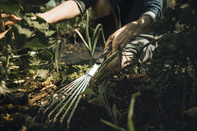 Fiskars Xact Handhark 3 Fiskars Xact Handhark - Afbeelding 3