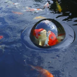Velda Floating Fish Dome Ø 35 Cm 4 Velda Floating Fish Dome Ø 35 Cm -Bijzondere Tuin Verkoop FloatingFishSphere