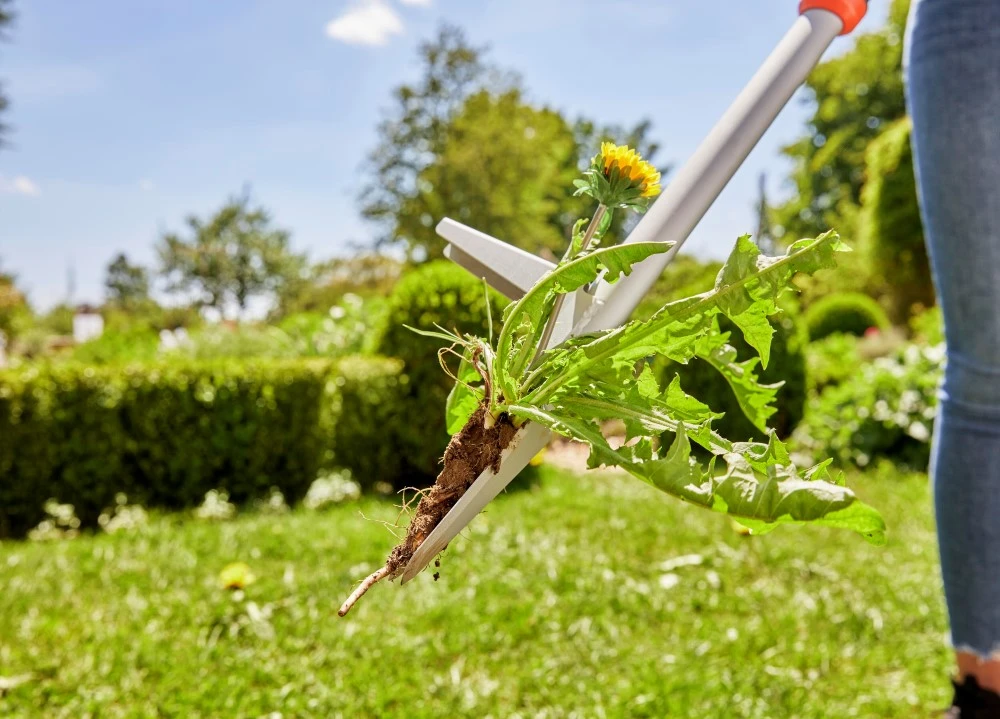 Gardena Onkruidsteker Lang 9 Gardena Onkruidsteker Lang - Afbeelding 9