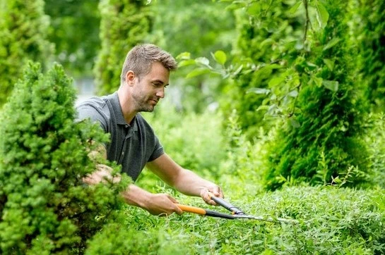 Fiskars Heggenschaar HSX92 Powergear Transmissie - 63 Cm 4 Fiskars Heggenschaar HSX92 Powergear Transmissie - 63 Cm - Afbeelding 4