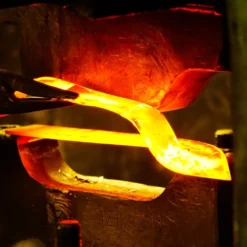 De Wit Palenboor 7.5 Cm 5 De Wit Palenboor 7.5 Cm -Bijzondere Tuin Verkoop IMG 8020