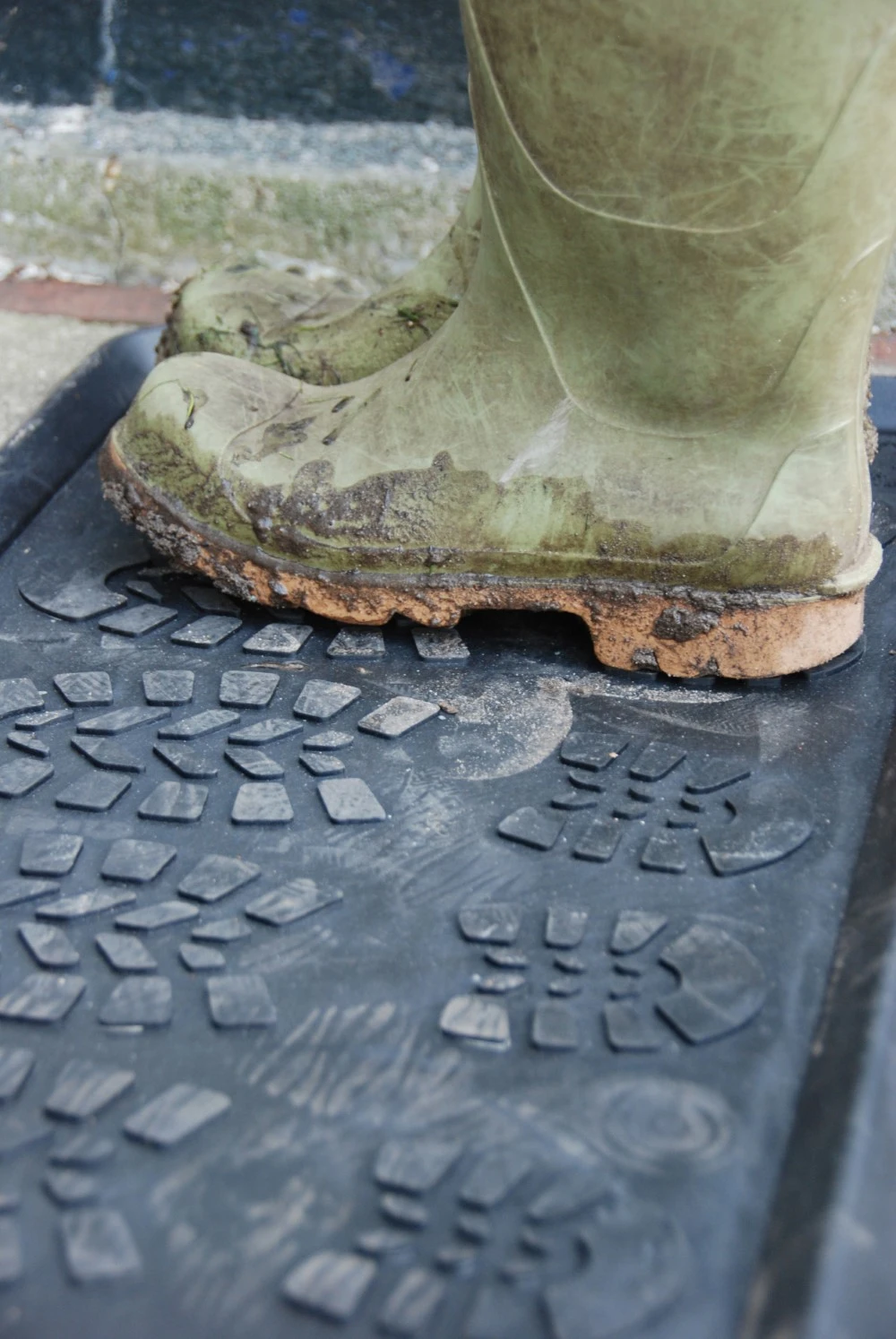 Esschert Laarzenmat 3 Esschert Laarzenmat - Afbeelding 3