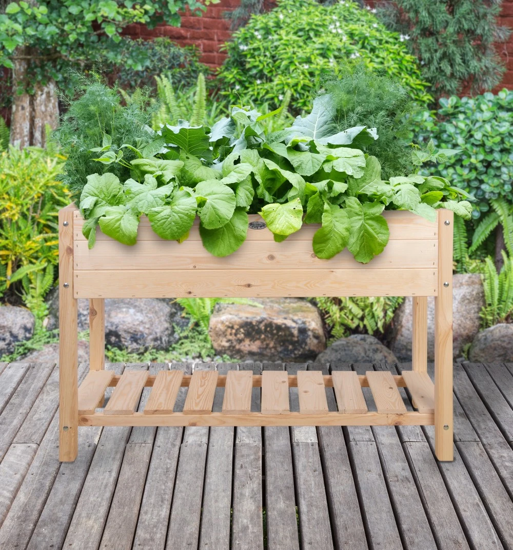 Esschert Verhoogde Houten Kweekbak L Blank 2 Esschert Verhoogde Houten Kweekbak L Blank - Afbeelding 2