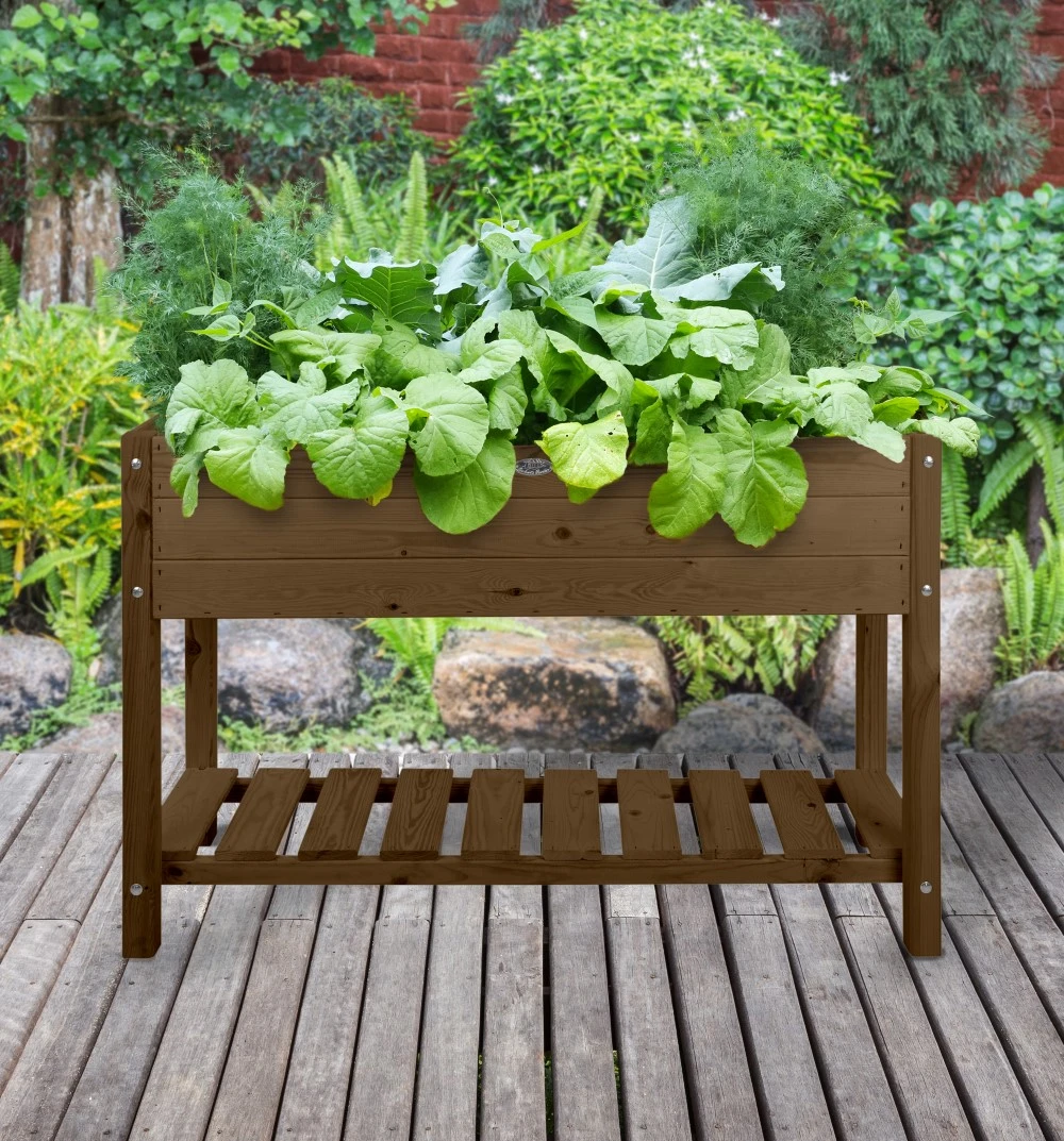 Esschert Verhoogde Houten Kweekbak L Bruin 2 Esschert Verhoogde Houten Kweekbak L Bruin - Afbeelding 2