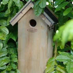 Esschert Vogelhuis Koolmees Bitum Dak 17 Esschert Vogelhuis Koolmees Bitum Dak -Bijzondere Tuin Verkoop NK01 40
