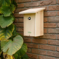 Esschert Nestkast Roodborst In Cadeaudoos 21 Esschert Nestkast Roodborst In Cadeaudoos -Bijzondere Tuin Verkoop NK95 40