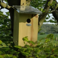 Esschert Vogelhuis Observatienestkast 23 Esschert Vogelhuis Observatienestkast -Bijzondere Tuin Verkoop NKO 40