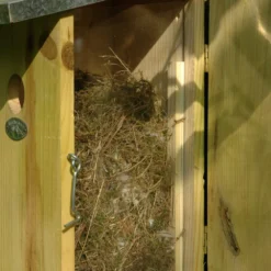 Esschert Vogelhuis Observatienestkast 21 Esschert Vogelhuis Observatienestkast -Bijzondere Tuin Verkoop NKO 41