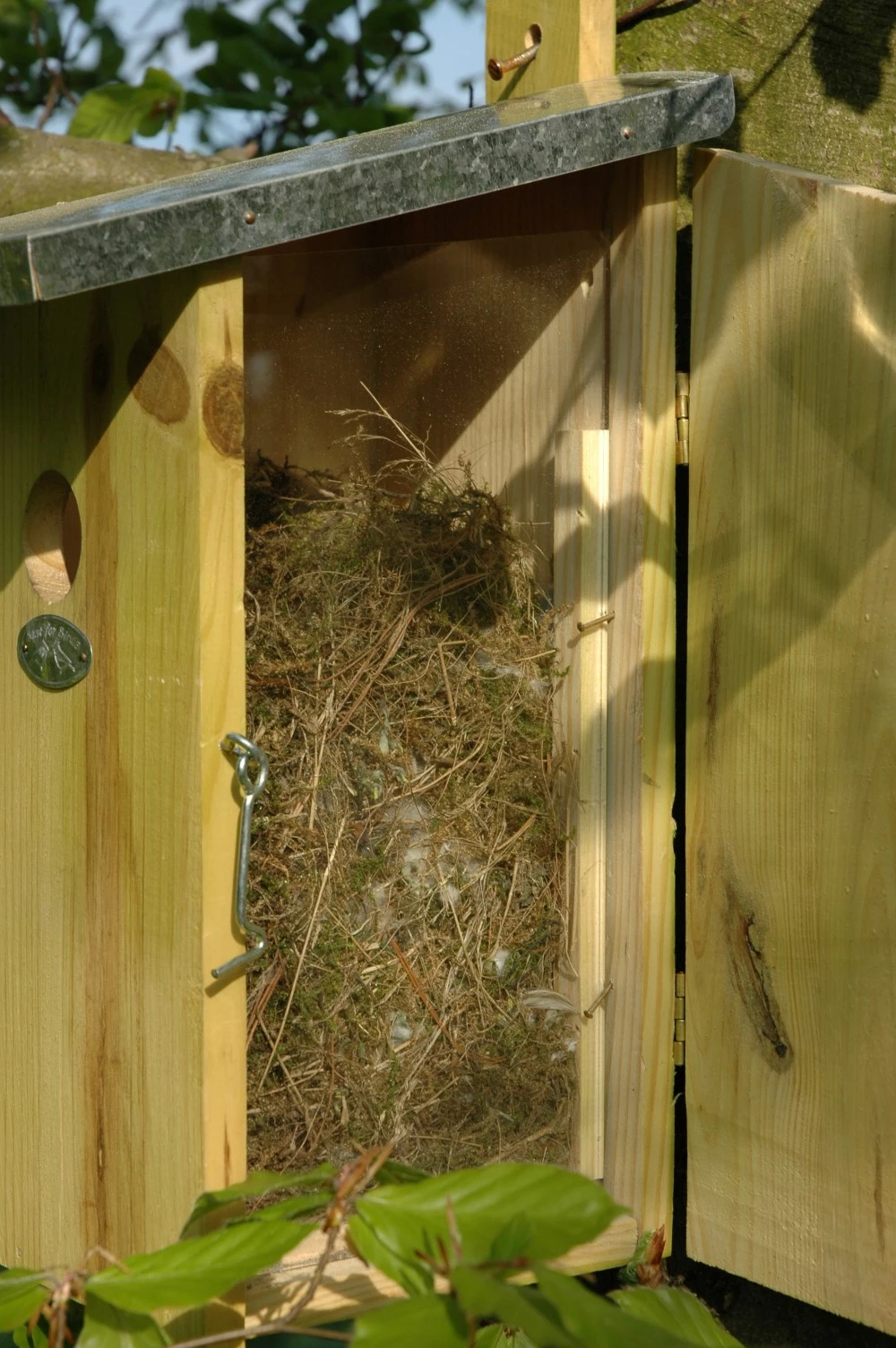 Esschert Vogelhuis Observatienestkast 10 Esschert Vogelhuis Observatienestkast - Afbeelding 10