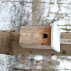 Esschert Vogelhuis Observatienestkast 20 Esschert Vogelhuis Observatienestkast -Bijzondere Tuin Verkoop NKO 44