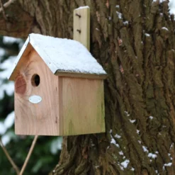 Esschert Vogelhuis Pimpelmees 15 Esschert Vogelhuis Pimpelmees -Bijzondere Tuin Verkoop NKP 40
