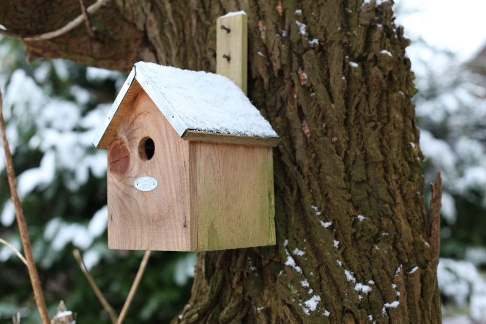 Esschert Vogelhuis Pimpelmees 7 Esschert Vogelhuis Pimpelmees - Afbeelding 7