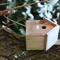 Esschert Vogelhuis Pimpelmees 16 Esschert Vogelhuis Pimpelmees -Bijzondere Tuin Verkoop NKP 41