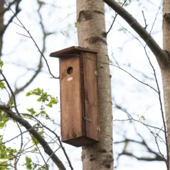 Esschert Vogelhuis Nestkast Grote Bonte Specht 21 Esschert Vogelhuis Nestkast Grote Bonte Specht -Bijzondere Tuin Verkoop NKX 40